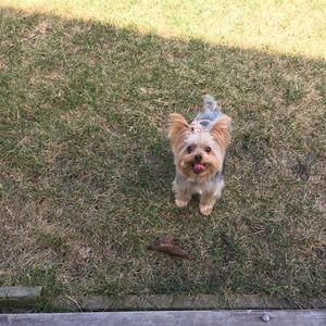 Meet your Posher, Corrine